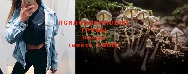 хмурый Осташков