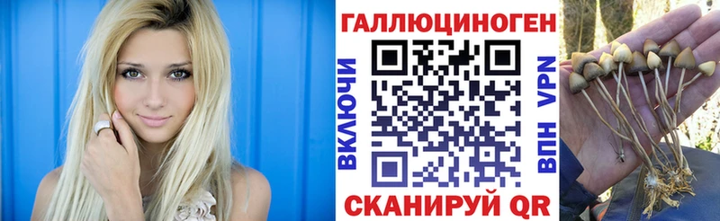 hydra как зайти  закладка  Калач-на-Дону  Галлюциногенные грибы MAGIC MUSHROOMS 