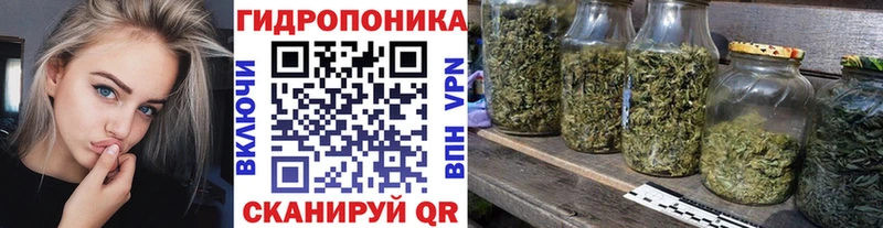 закладки  Калач-на-Дону  Бошки Шишки планчик 